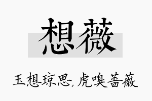 想薇名字的寓意及含义