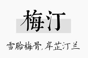 梅汀名字的寓意及含义