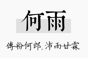 何雨名字的寓意及含义