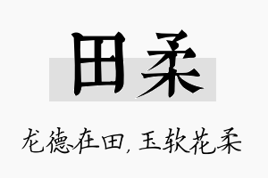 田柔名字的寓意及含义