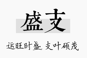 盛支名字的寓意及含义