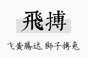 飞搏名字的寓意及含义