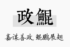 政鲲名字的寓意及含义