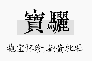 宝骊名字的寓意及含义