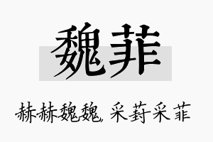 魏菲名字的寓意及含义