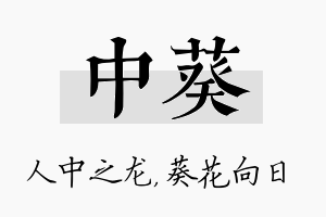 中葵名字的寓意及含义