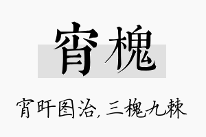 宵槐名字的寓意及含义