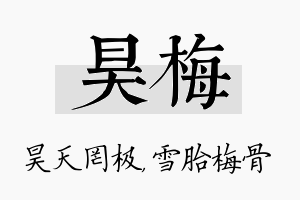 昊梅名字的寓意及含义