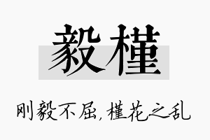 毅槿名字的寓意及含义