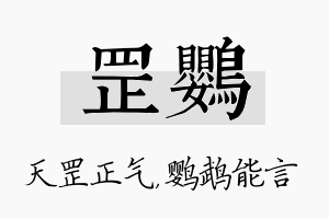 罡鹦名字的寓意及含义