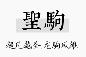 圣驹名字的寓意及含义