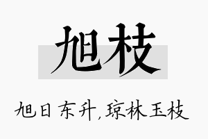 旭枝名字的寓意及含义