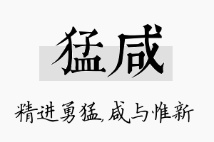 猛咸名字的寓意及含义