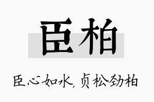 臣柏名字的寓意及含义