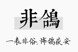 非鸽名字的寓意及含义