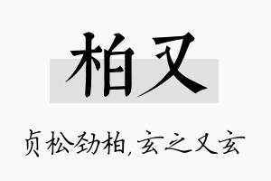 柏又名字的寓意及含义