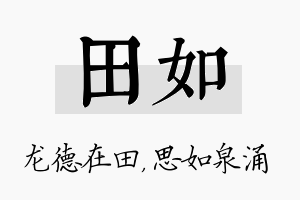 田如名字的寓意及含义