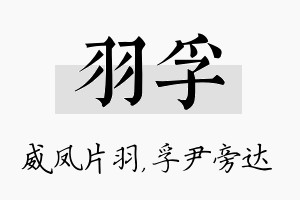 羽孚名字的寓意及含义