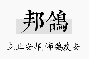 邦鸽名字的寓意及含义