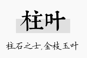 柱叶名字的寓意及含义