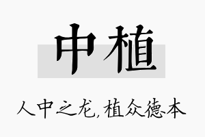 中植名字的寓意及含义