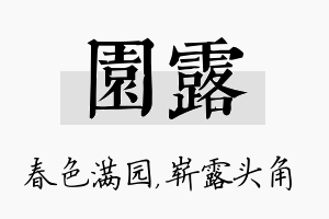 园露名字的寓意及含义