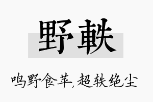 野轶名字的寓意及含义