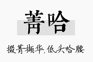 菁哈名字的寓意及含义