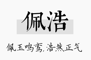 佩浩名字的寓意及含义