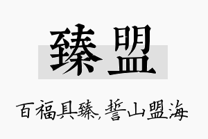 臻盟名字的寓意及含义