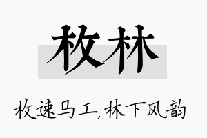 枚林名字的寓意及含义