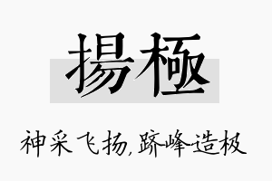 扬极名字的寓意及含义