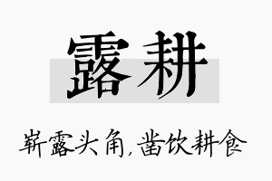 露耕名字的寓意及含义