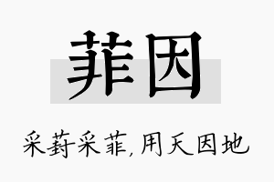 菲因名字的寓意及含义