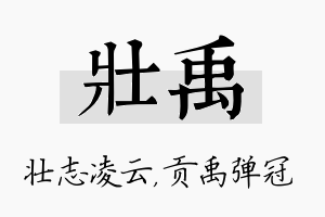 壮禹名字的寓意及含义