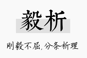 毅析名字的寓意及含义