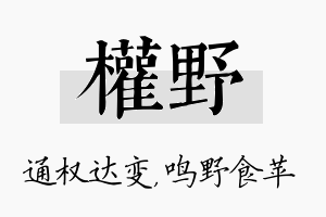 权野名字的寓意及含义