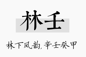 林壬名字的寓意及含义