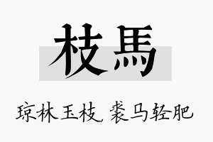 枝马名字的寓意及含义