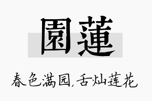 园莲名字的寓意及含义