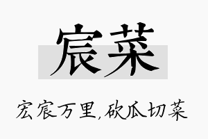 宸菜名字的寓意及含义