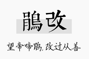 鹃改名字的寓意及含义