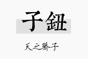 子钮名字的寓意及含义