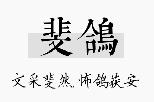 斐鸽名字的寓意及含义