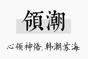 领潮名字的寓意及含义