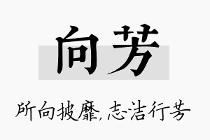 向芳名字的寓意及含义