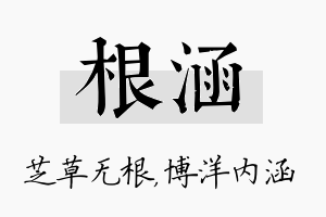 根涵名字的寓意及含义