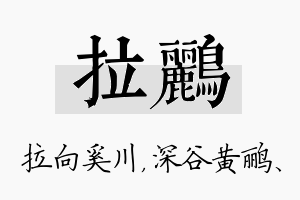 拉鹂名字的寓意及含义