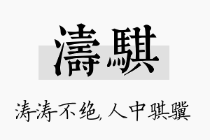 涛骐名字的寓意及含义