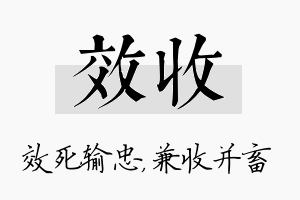 效收名字的寓意及含义